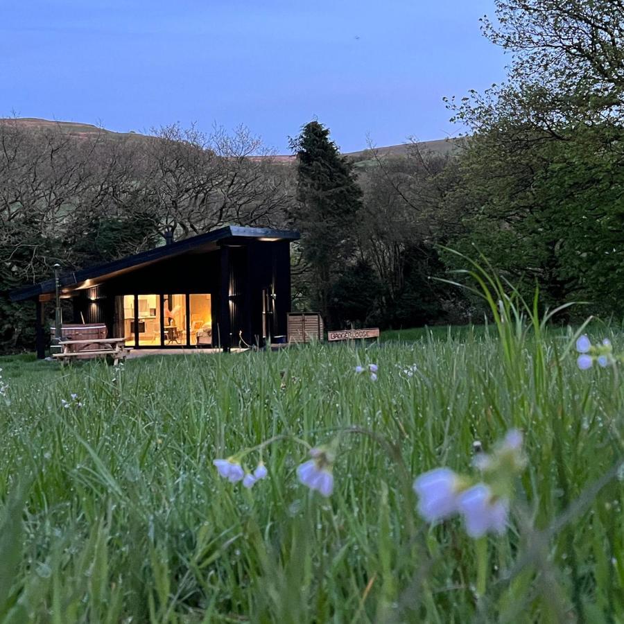 Вілла Quirky, Luxury Hideaway Llanbrynmair Екстер'єр фото